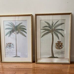 Prince And Princess Of Wales Vintage Palm Tree Prints (2) Framed 17”x24”